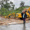 The blackened earth shows where banana trees used to be.