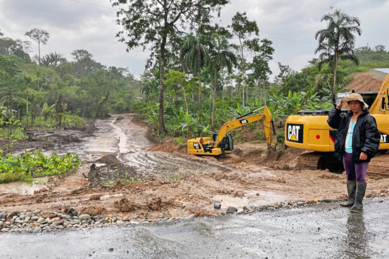 The blackened earth shows where banana trees used to be.