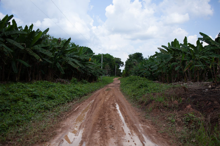 There are signs of a new frontier of deforestation emerging in Autazes, as invaders descend on this slice of the Amazon. Indigenous leaders say the area is now plagued by illegal logging and land-grabbing. Much of it is related to speculation as a massive potash mining project awaits approval. Image by Ana Ionova for Mongabay