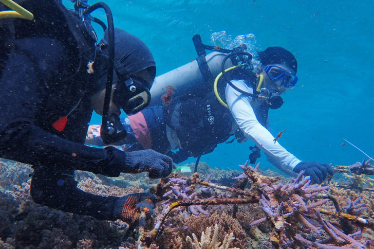 Members of the Pokdarwis Tramena and Pokmaswas Gili Mantra project in Gili Trawangan carry out essential maintenance and monitoring activities monthly.