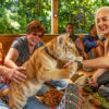 Tourists petting a tiger cub at Doc Antle's Myrtle Beach Tiger Safari in South Carolina, U.S. Antle faces federal charges for wildlife trafficking.
