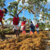 Cleaning a beach in the Dominican Republic.