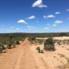 cerrado grasslands