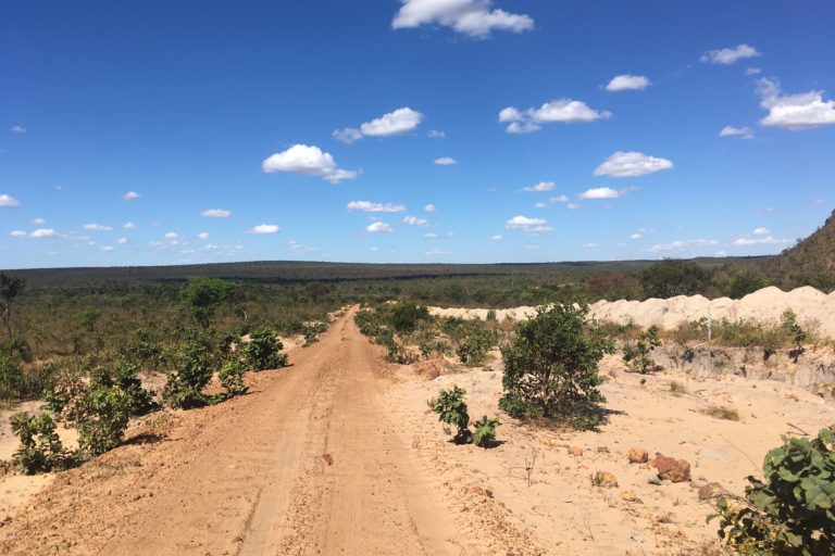cerrado grasslands
