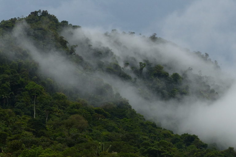 View of the Nangaritza valley from near Las Orquideas. Photo by Andrew Neil via Flickr (CC BY-NC-ND 2.0).
