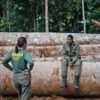 Inspectors from Brazil’s federal environmental protection agency, IBAMA, carried out a series of inspections in 2017, exposing weaknesses in Brazil's forest management systems that allowed illegal timber to be sold both domestically and abroad.