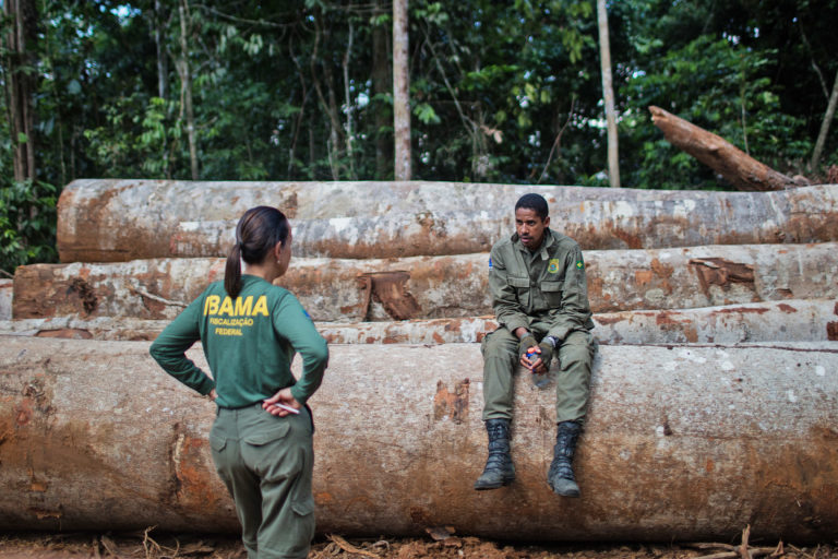 Inspectors from Brazil’s federal environmental protection agency, IBAMA, carried out a series of inspections in 2017, exposing weaknesses in Brazil's forest management systems that allowed illegal timber to be sold both domestically and abroad.