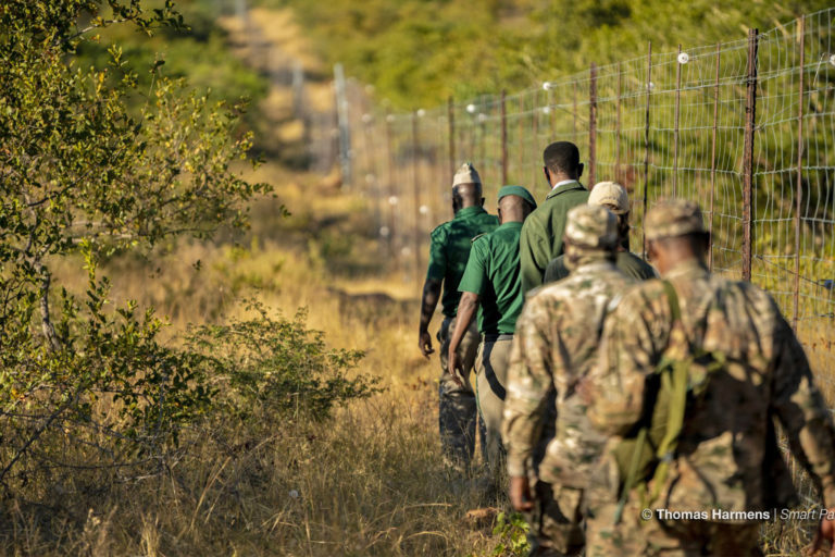 Park rangers walk next to a fenceline