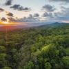 The Osa Peninsula in Costa Rica is an area of much conservation effort. Image courtesy of Osa Conservation.