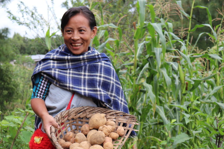 Indigenous woman potato