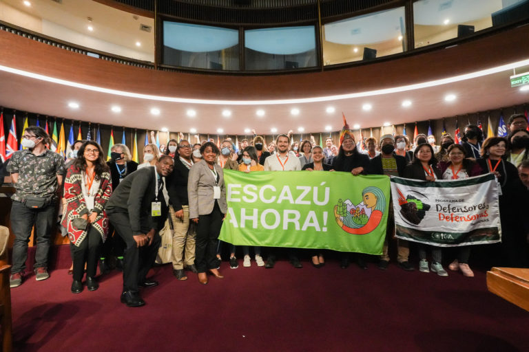 At COP 1, there was a push for more countries to join the Agreement. Image courtesy of ECLAC.