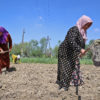 Framers tending to their agricultural land in Uzbekistan.