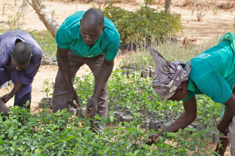 The nursery at the heart of Minawao nurtures the green shoots of a recovery.