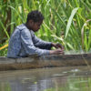 Fishing in the Sepik River.