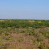 cerrado reserve