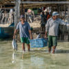 Fishers in Siompu, Southeast Sulawesi with their daily catch. September 2019. Photo credit: Rare.