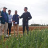 A group of UM6P scientists take a visiting forestry scientist from Penn State University on a tour of the experimental farm in Ben Guerir.