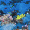 A coral reef and fish in the mouth of the Amazon River.