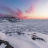 Arctic sea ice melts.