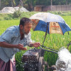 A man in the western Chuadanga district splashes water on his face from an irrigation pump to get relief from the heat.