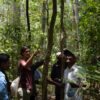 Since 2014, Nerea Turreira-Garcia and Dimitris Argyriou have worked with Indigenous communities in Cambodia's Prey Lang Wildlife Sanctuary to identify species of flora and their uses to the communities. Image by Nerea Turreira-Garcia and Dimitris Argyriou.