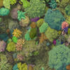 A biodiversity index created by Bioverse using machine learning to detect species and then spatially categorize them. Image courtesy of Bioverse.