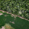 Soy field and cerrado / chaco / Amazon transition forest. Photo by Rhett A. Butler for Mongabay.