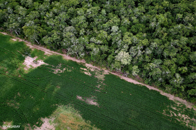 Soy field and cerrado / chaco / Amazon transition forest. Photo by Rhett A. Butler for Mongabay.