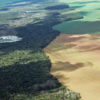 Aerial photo of riparian forest and deforestation for soy.