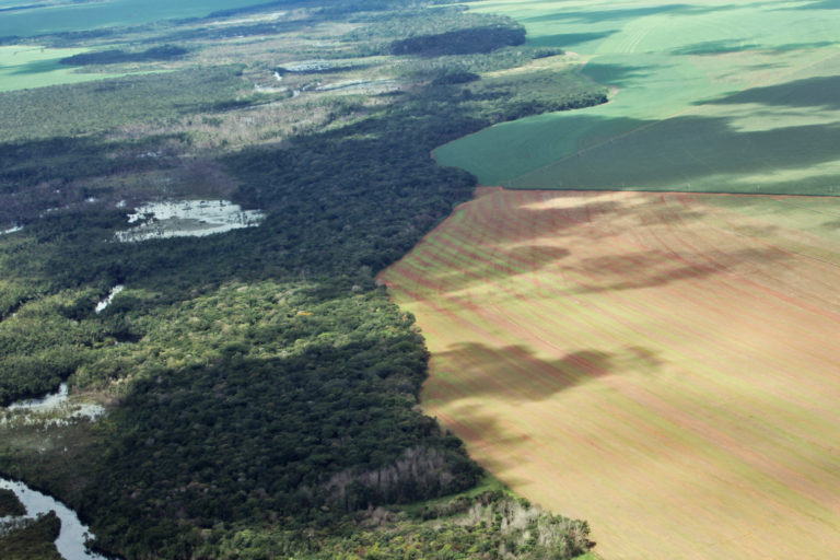 Aerial photo of riparian forest and deforestation for soy.