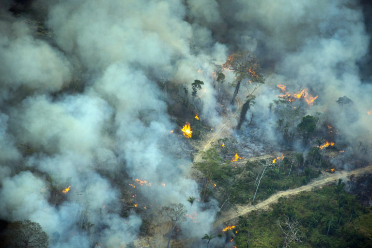 Forest fire in a deforested area in an undesignated public forest in Altamira, Pará on Jul 31, 2021. Photo © Christian Braga/Greenpeace