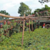 Burundian soldiers in a nursery.