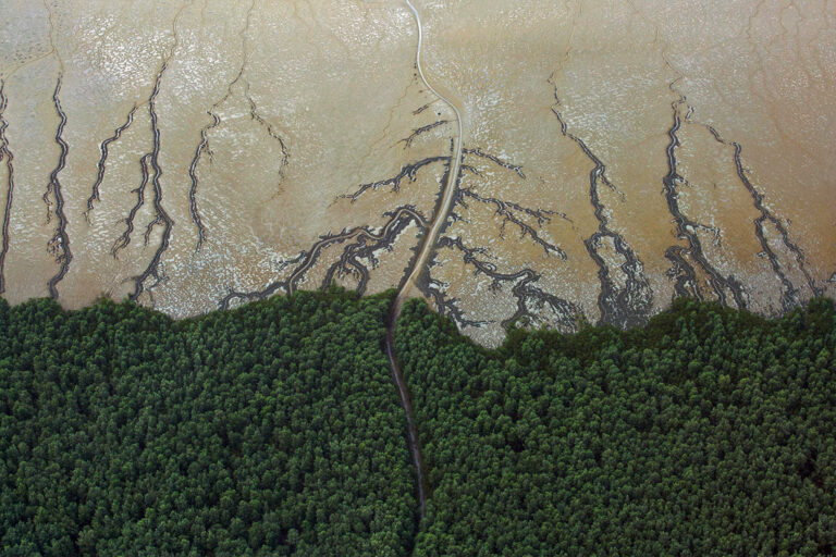 The Cape Orange National Park off the coast of Amapá state in the extreme northeast of Brazil.