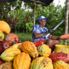 A farmer extracts cacao beans from the pods in Colombia.