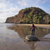 Mohéli hosts one of the largest nesting sites for green sea turtles (Chelonia mydas) in the Indian Ocean.