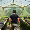 Serge in a greenhouse.