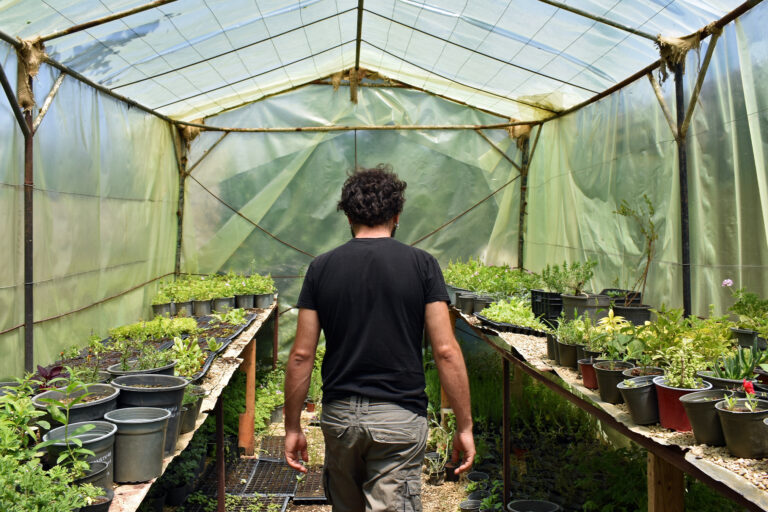Serge in a greenhouse.