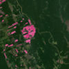 Global Forest Watch forest cover change alerts near Porto Velho in the State of Rondônia, Brazil in 2022.