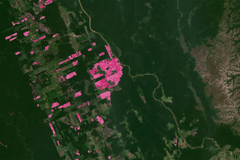 Global Forest Watch forest cover change alerts near Porto Velho in the State of Rondônia, Brazil in 2022.