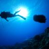 Diver towing a string of taramea.