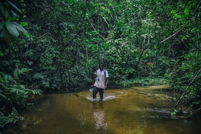 Bonga enjoying the feeling of the cooler part of our walk through the forest one afternoon in 2018. Copyright Ana Verahrami/Elephant Listening Project.