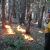 Eric Darragh, the co-director of Fire and Forestry for the Mid-Klamath Watershed Council, is pointing out burn sites  within the project area. Images by Carly Nairn.