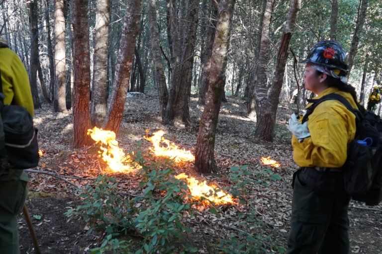Eric Darragh, the co-director of Fire and Forestry for the Mid-Klamath Watershed Council, is pointing out burn sites  within the project area. Images by Carly Nairn.