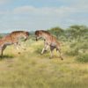 A rendition of D. xiezhi head-to-head butting. Image courtesy of Xiao Cong Guo and Yu Wang.