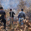 Efforts to extinguish the fire around Sungai Buluh Kecil, in the Tanjung Puting National Park area, mid-September 2023.