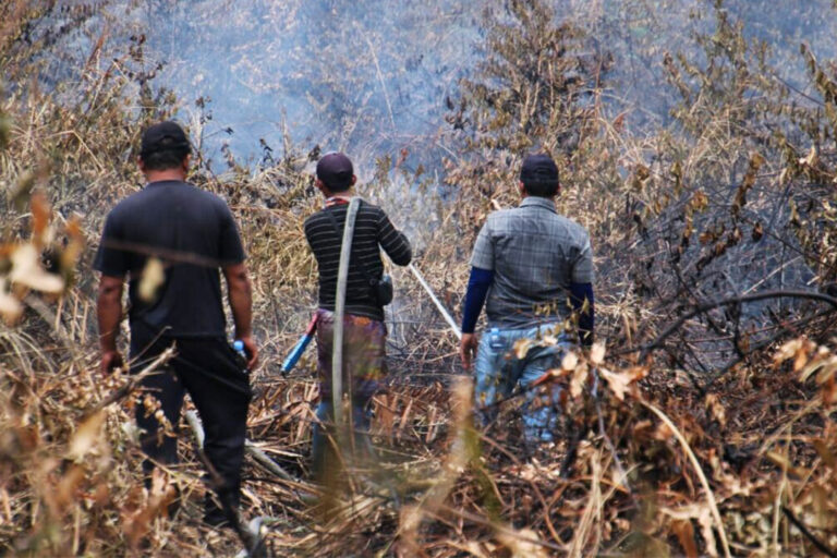 Efforts to extinguish the fire around Sungai Buluh Kecil, in the Tanjung Puting National Park area, mid-September 2023.