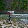 A fisher casts a net in Malaysia.