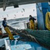 Fishermen on a fishing boat in the Mediterranean Sea.