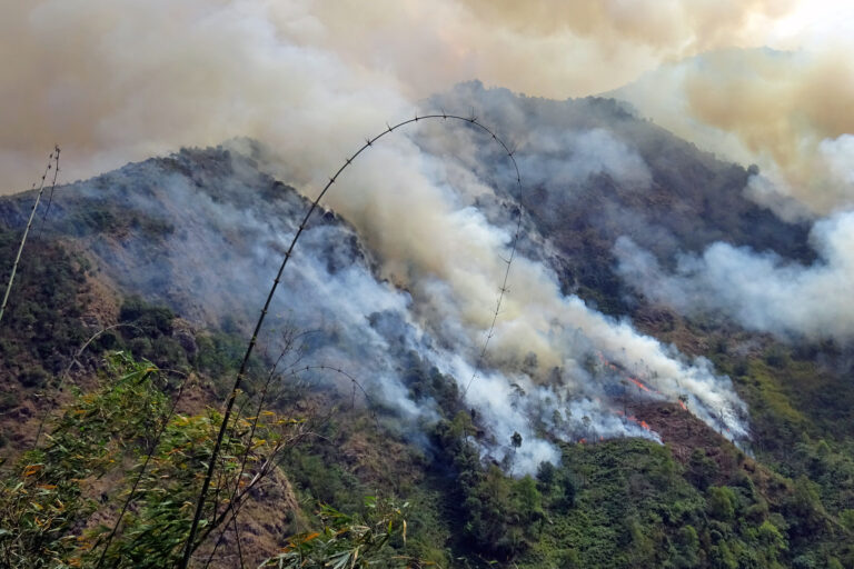 A forest fire in Nepal.