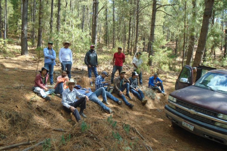 A group of community workers from the Ejido Santa Ana rest after a day working in the forest. Image courtesy of UCDFI Topia, S.C.